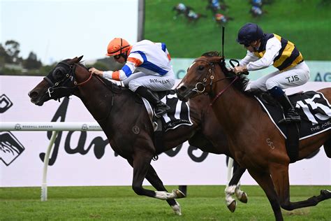 manikato stakes night party|Friday night's Manikato Stakes has been rescheduled to.